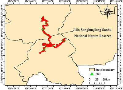 The effects of forest types and age groups on forest provisioning and supporting service value in Sanhu Nature Reserve, Northeast China